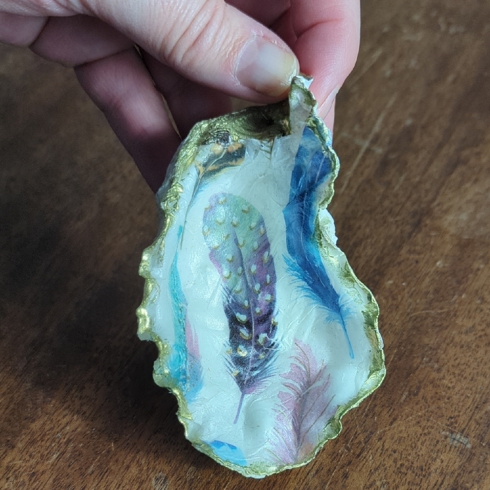 Decorative Shells